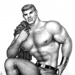 Un modelo típico de Tom de Finlandia